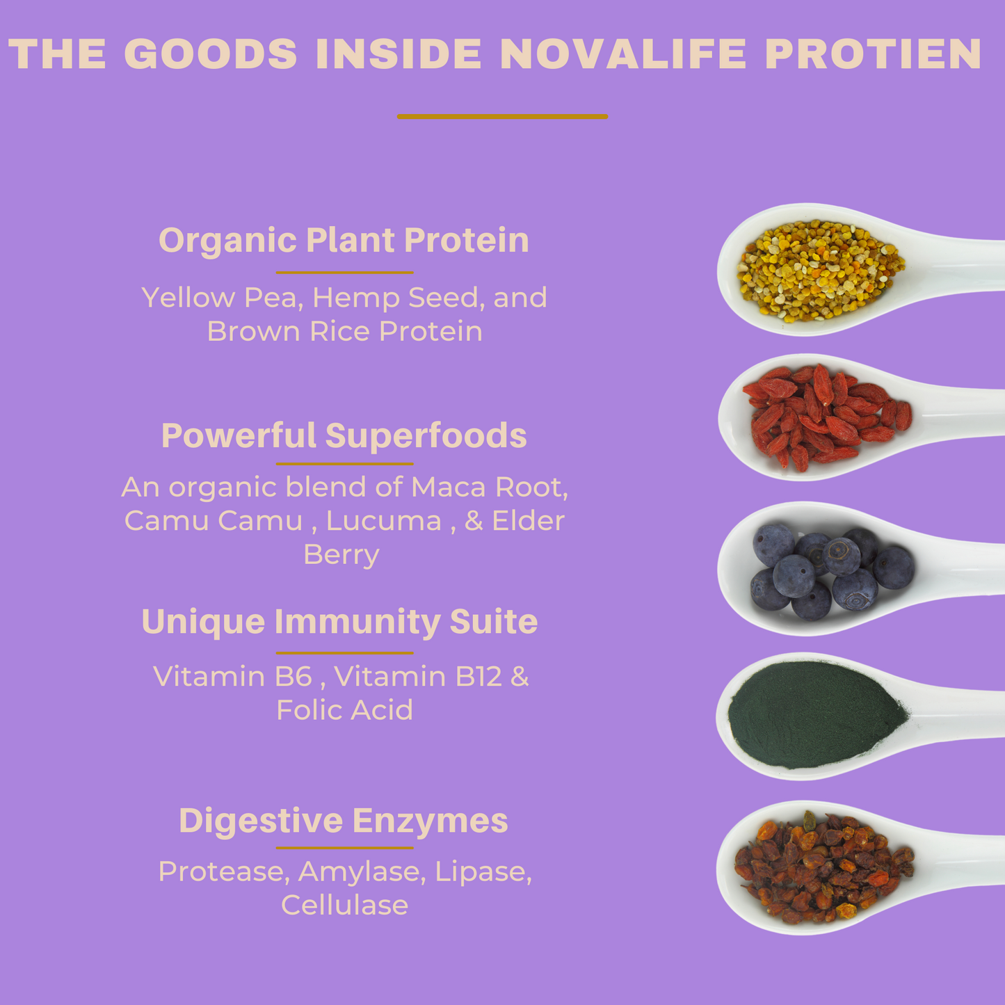 NovaLife® Immunity Plant Based Protein Powder