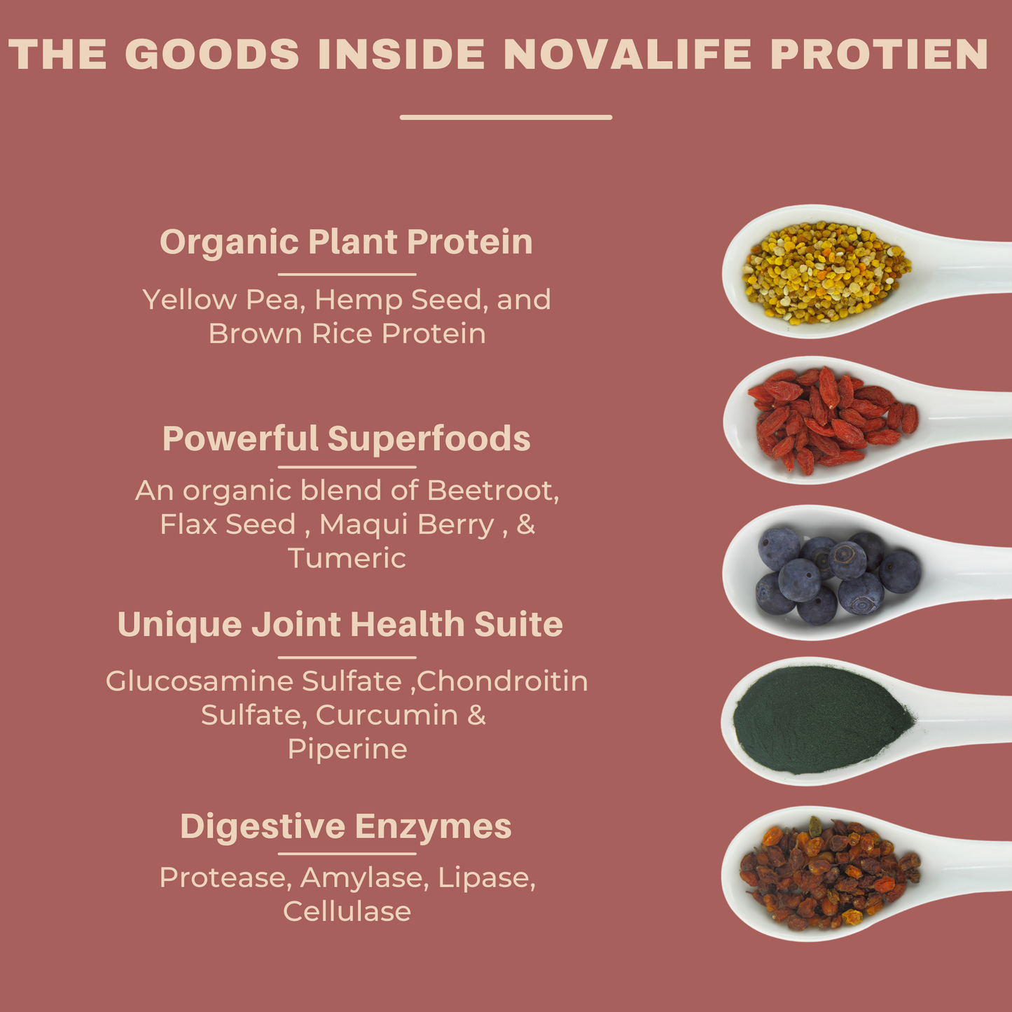 NovaLife® Joint Health Plant Based Protein Powder