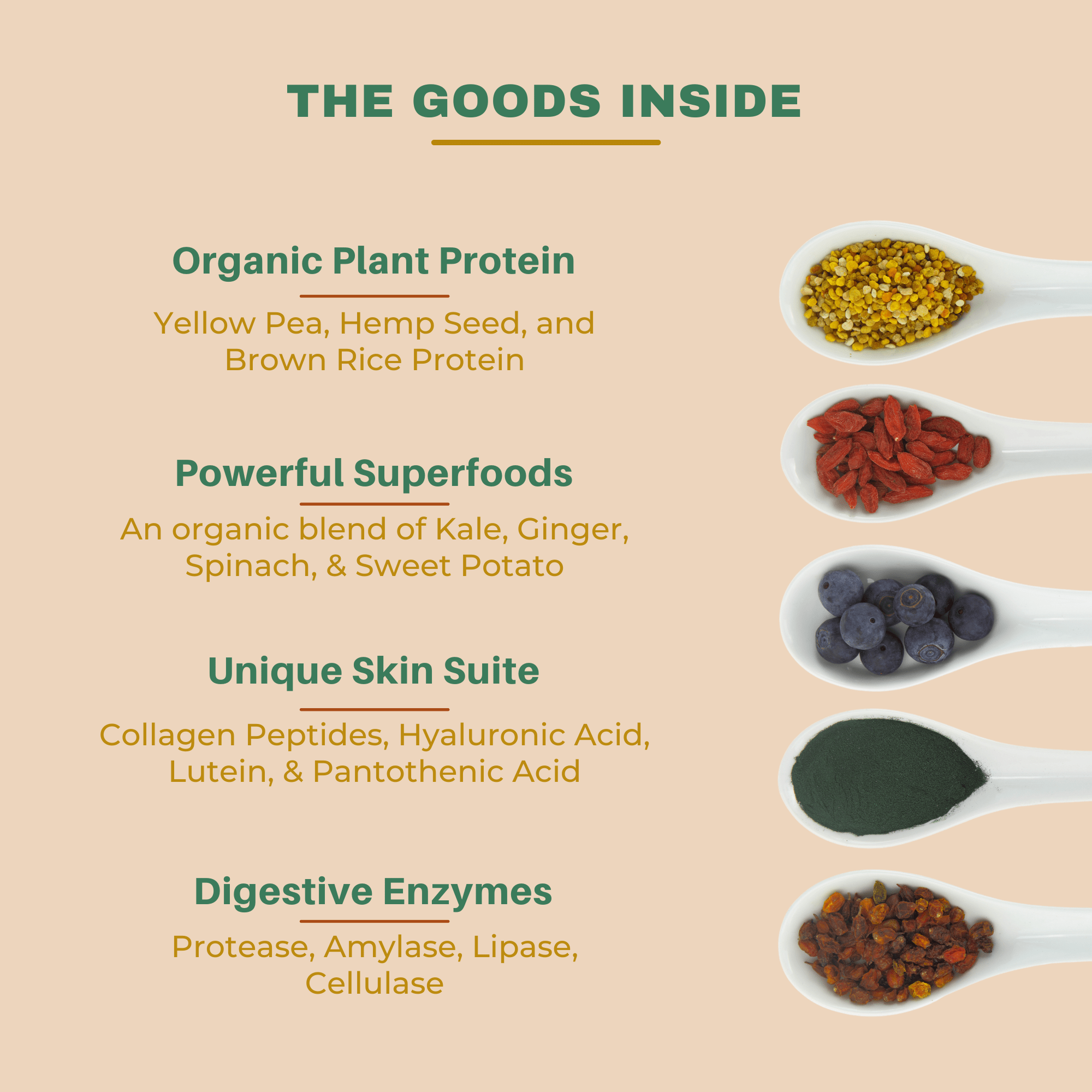 SKIN HEALTH PLANT PROTEIN POWDER - NovaLife Nutriments